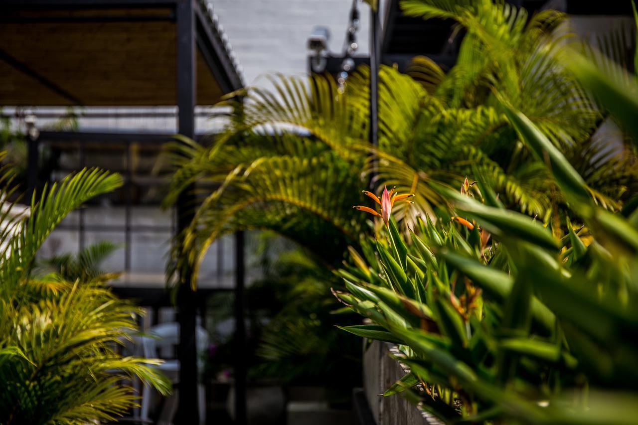 Alko Hotel Boutique Cali Exteriér fotografie